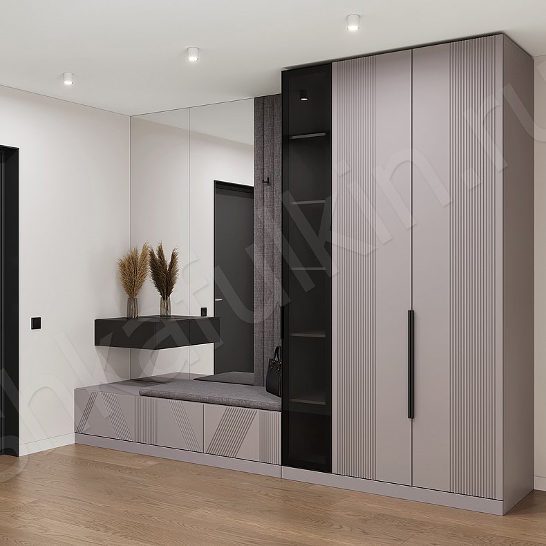 Прихожая Клеопатра Черный Светлые Серый Современный 2х створчатые Прихожая Для вещей 6