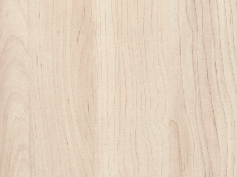 H3860 ST9 Клён сахарный шампань