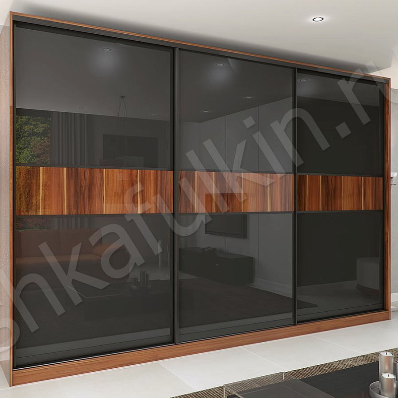 Корпусный шкаф-купе Торрес Ола Темные Древесный Черный Модерн 3х створчатые Гостиная Для вещей