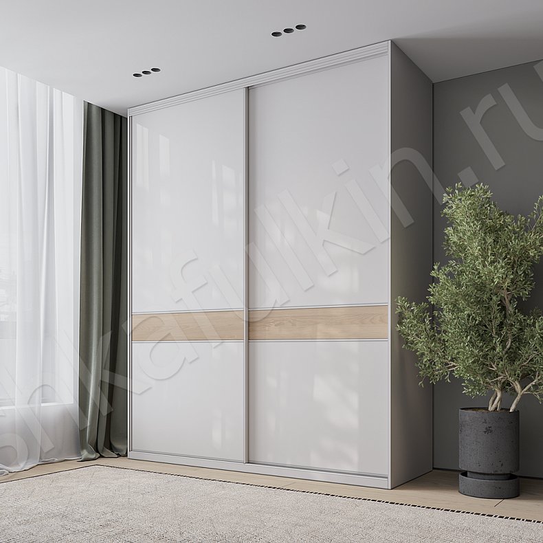 Шкаф-купе Руффало Светлые Современный 2х створчатые Гостиная Для вещей