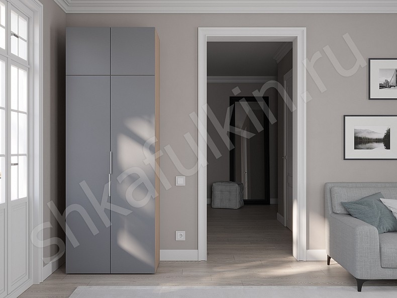 Изображение цвета Шкаф Тони Светлые Современный 2х створчатые  