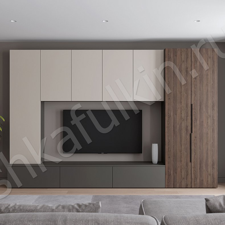 Изображение Стенка Соло Серый Белый Черный Древесный Светлые Темные Скандинавский 2х створчатые Гостиная Для книг Для декора Под ТВ 3