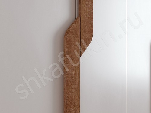 Изображение цвета Шкаф Ронни  Современный 4х створчатые Гостиная 