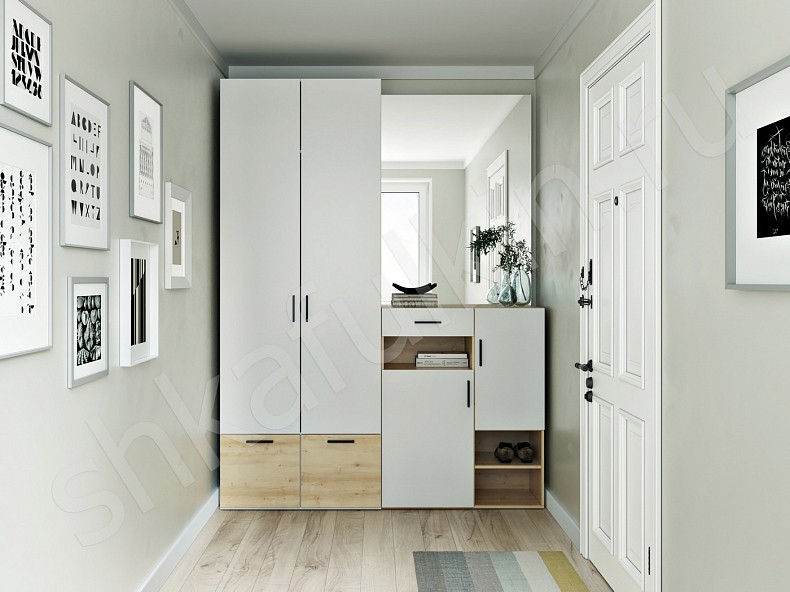 Изображение цвета Прихожая Лайк  Минимализм 2х створчатые Прихожая 