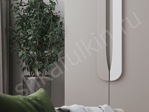 Изображение цвета Шкаф Тигго  Современный 4х створчатые Гостиная 