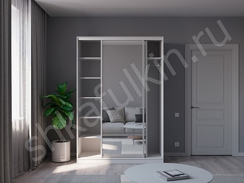 Изображение цвета Шкаф Зирро  Минимализм 2х створчатые Прихожая 