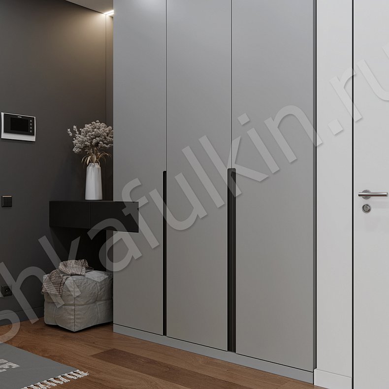 Изображение Шкаф в прихожую Амиго Черный Светлые Серый Минимализм 3х створчатые Прихожая Для вещей 3