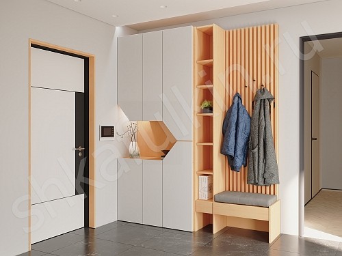 Изображение цвета Прихожая Сальма  Минимализм 2х створчатые Прихожая 