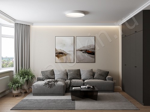 Изображение цвета Шкаф Фостер     