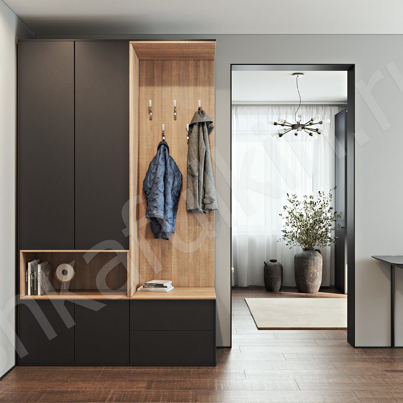 Прихожая Терри Темные Древесный Черный Минимализм 2х створчатые Прихожая Для вещей Для декора Для книг