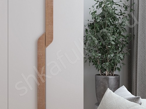 Изображение цвета Шкаф Ронни  Современный 4х створчатые Гостиная 