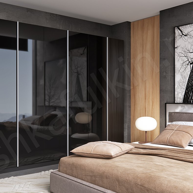 Корпусный распашной шкаф Ума Черный Темные Модерн 6и створчатые Спальня Для вещей