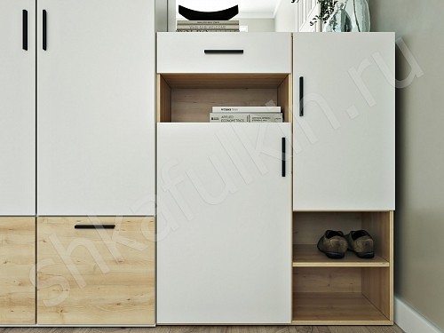 Изображение цвета Прихожая Лайк  Минимализм 2х створчатые Прихожая 