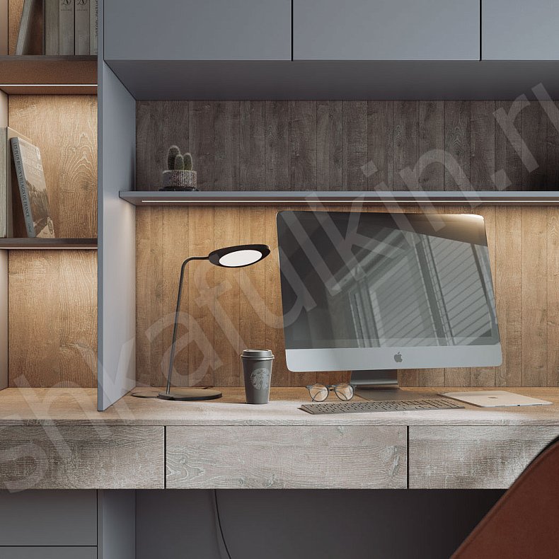 Кабинет Эйнштейн Серый Современный 3х створчатые Спальня Для книг 2