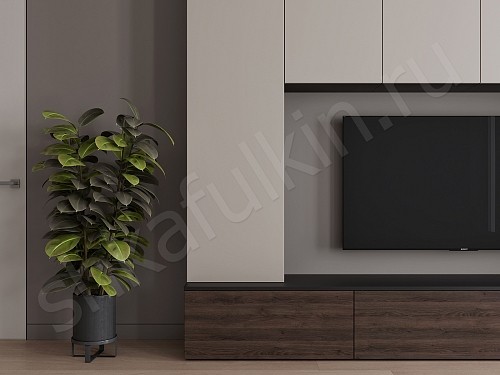 Изображение цвета Стенка Соло  Минимализм  Гостиная 