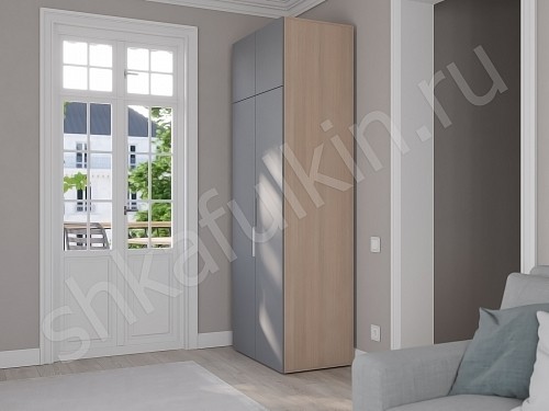 Изображение цвета Шкаф Тони Светлые Современный 2х створчатые  