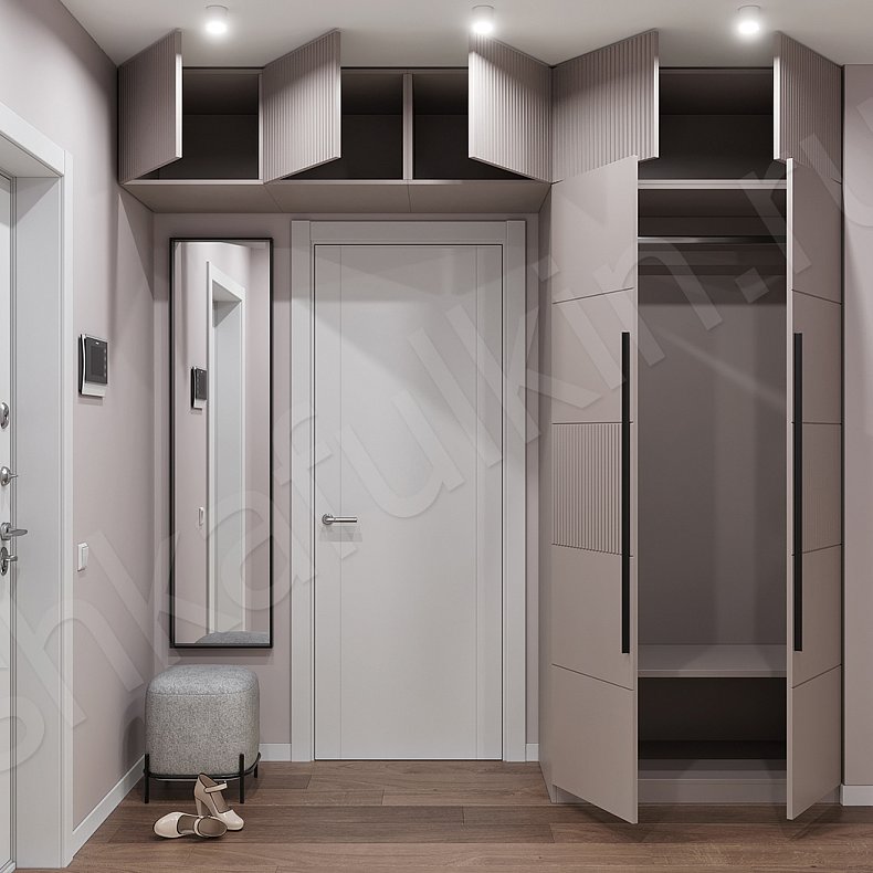 Изображение Прихожая Биркин Коричневый Светлые Современный 2х створчатые Прихожая Для вещей 2