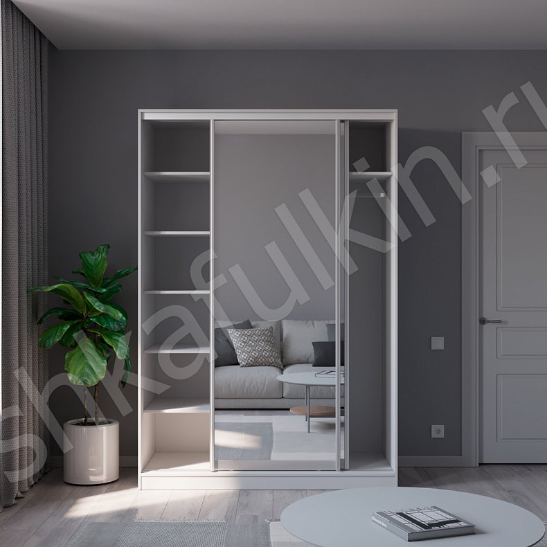 Изображение Шкаф-купе Зирро Светлые Белый Минимализм 2х створчатые Гостиная Для вещей 4