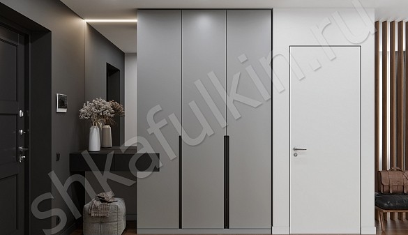 Шкаф в прихожую Амиго