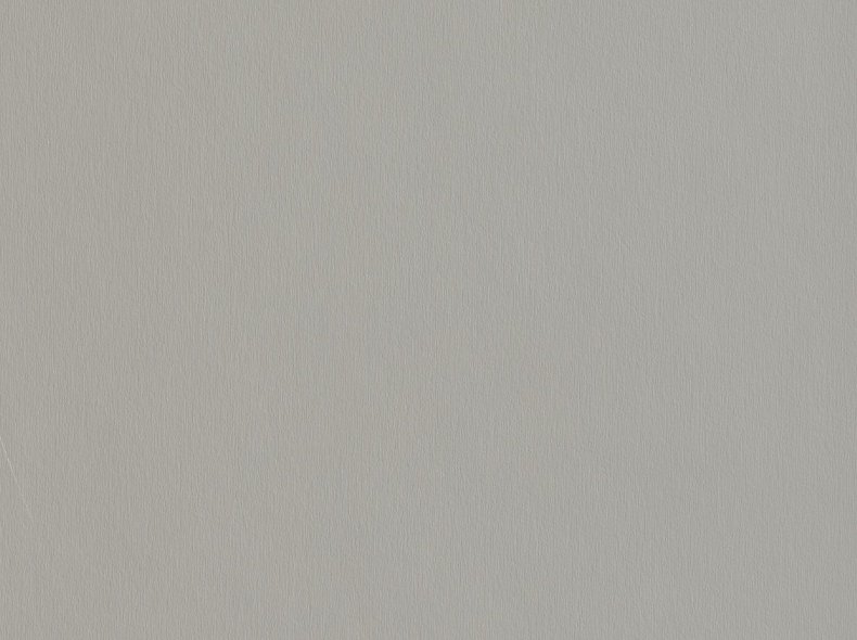 F765 ST20 Серебристый матовый