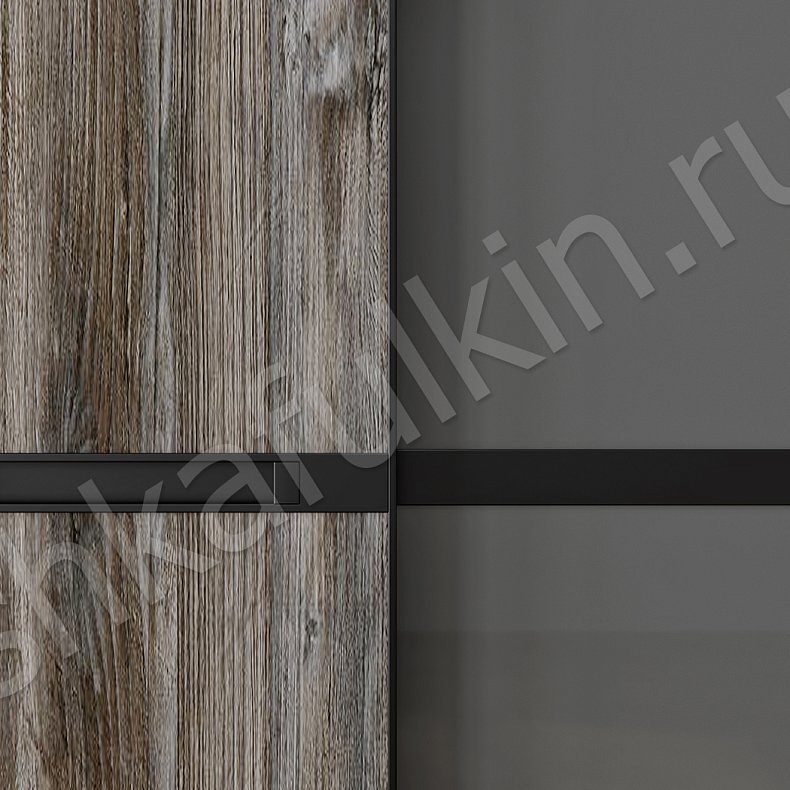 Изображение Шкаф-купе Форест Серый Темные Древесный Современный 4х створчатые Гостиная Для вещей 4