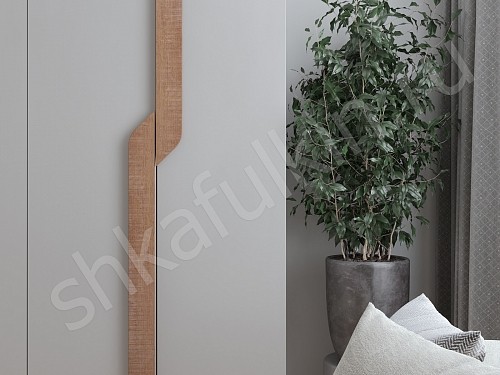 Изображение цвета Шкаф Ронни  Современный 4х створчатые Гостиная 