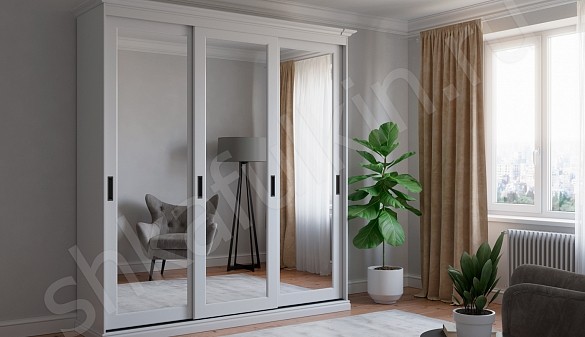 Шкаф-купе Аристон