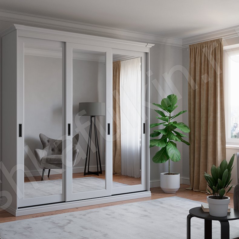 Шкаф-купе Аристон  Современный 3х створчатые Гостиная Для вещей