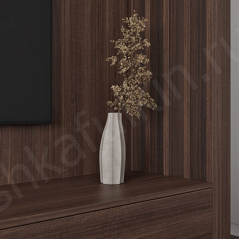 Изображение Стенка Сальгадо Темные Древесный Современный 3х створчатые Гостиная Под ТВ Для книг 4