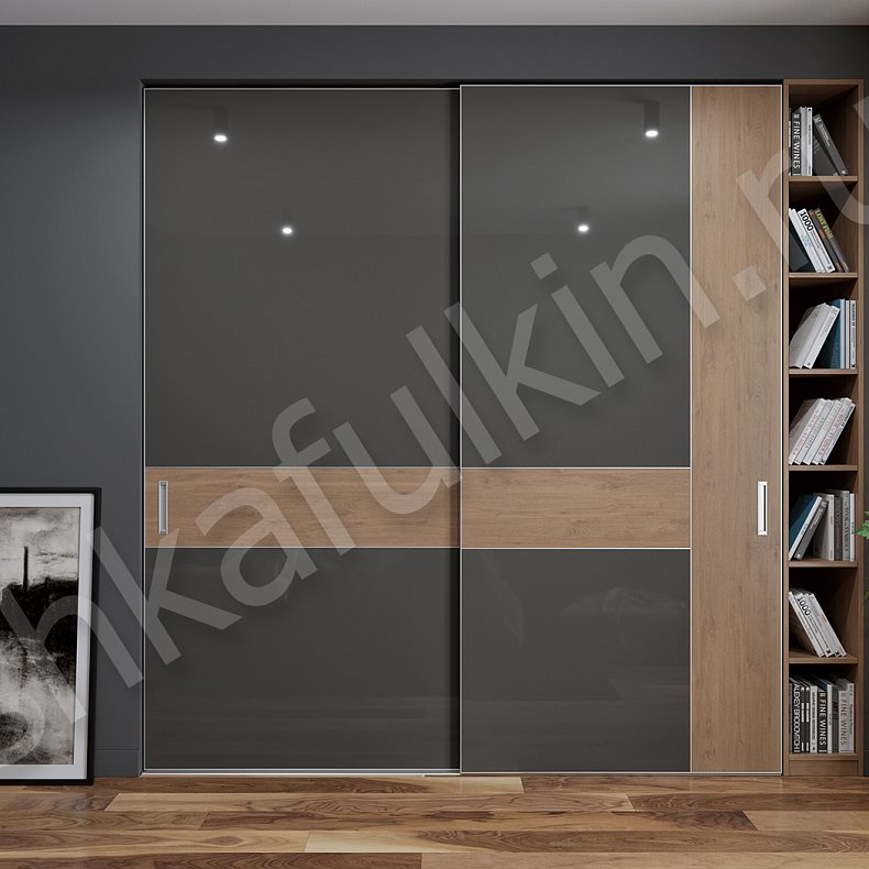 Шкаф-купе Мовимент Темные Древесный Черный Современный 2х створчатые Спальня Для вещей 2