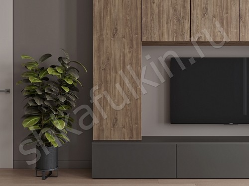 Изображение цвета Стенка Соло  Минимализм  Гостиная 