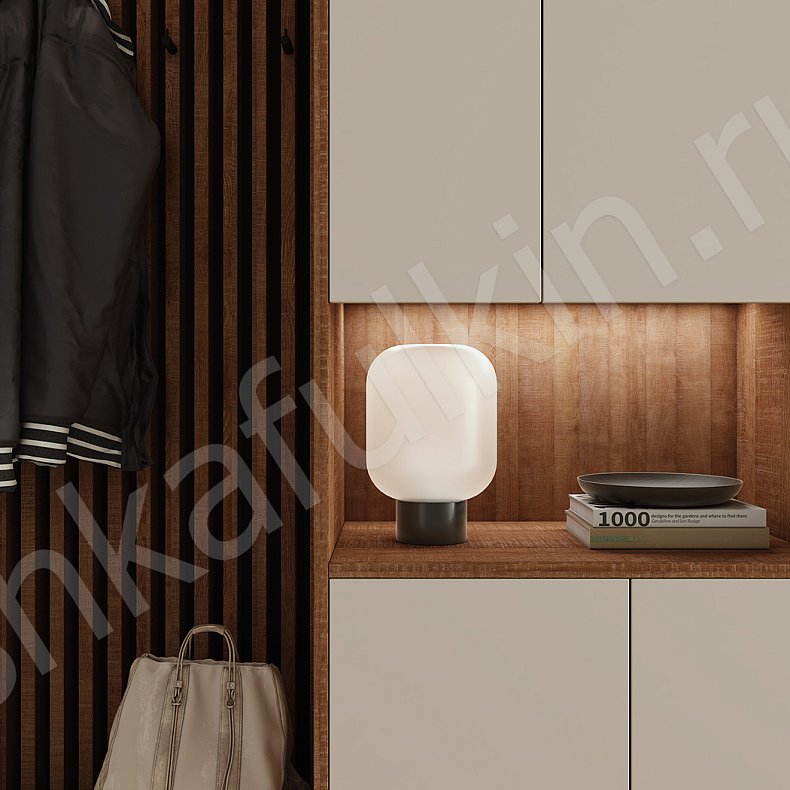 Изображение Прихожая Донни Древесный Белый Черный Серый Светлые Темные Скандинавский 2х створчатые Прихожая Для вещей 13