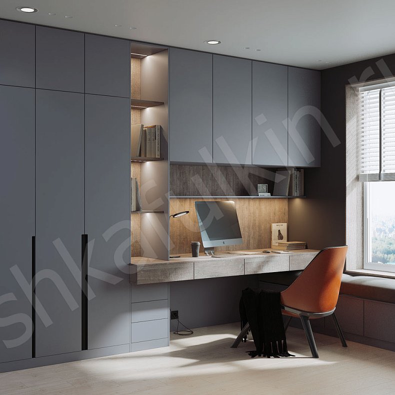 Кабинет Эйнштейн Серый Современный 3х створчатые Спальня Для книг