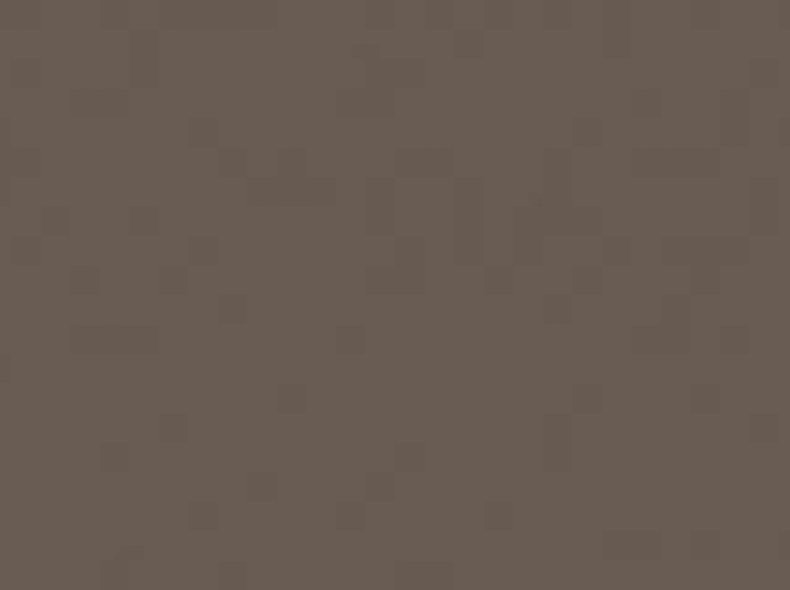 U748 ST9 Трюфель коричневый