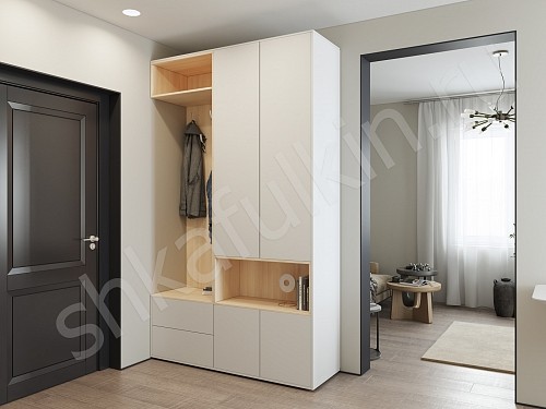 Изображение цвета Прихожая Мэрри  Минимализм 2х створчатые Прихожая 