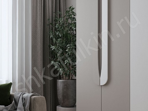 Изображение цвета Шкаф Тигго  Современный 4х створчатые Гостиная 