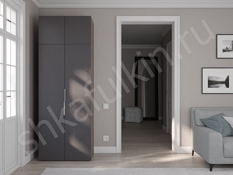 Изображение цвета Шкаф Тони Светлые Современный 2х створчатые  