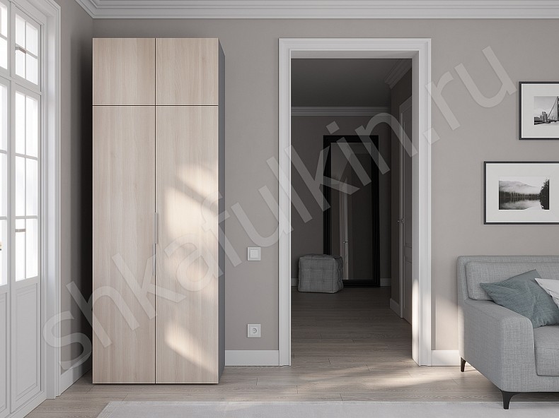 Изображение цвета Шкаф Тони Светлые Современный 2х створчатые  