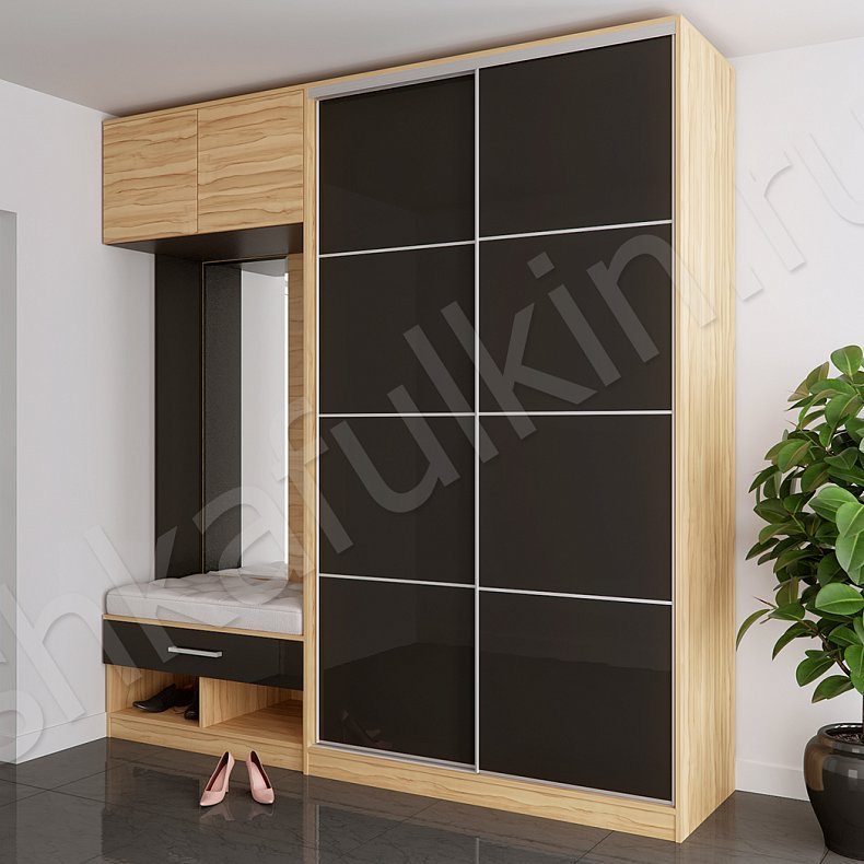 Изображение Прихожая Трио Черный Древесный Темные Минимализм 2х створчатые Прихожая Для вещей 1