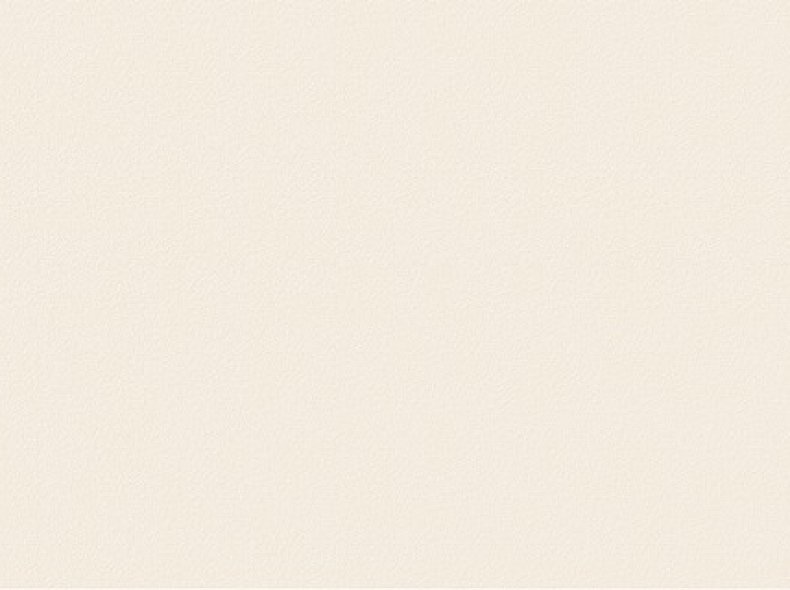 U216 ST9 Камель бежевый