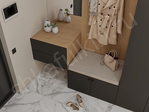 Изображение цвета Прихожая Олли  Минимализм 2х створчатые Прихожая 