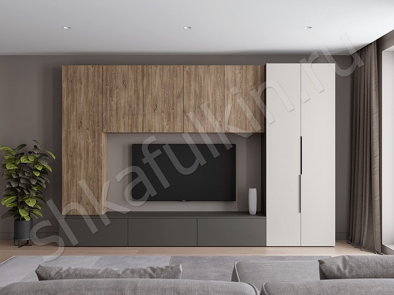 Изображение цвета Стенка Соло  Минимализм  Гостиная 