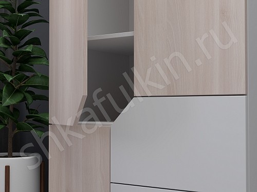 Изображение цвета Шкаф Сонум  Современный 2х створчатые  