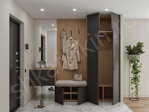 Изображение цвета Прихожая Олли  Минимализм 2х створчатые Прихожая 