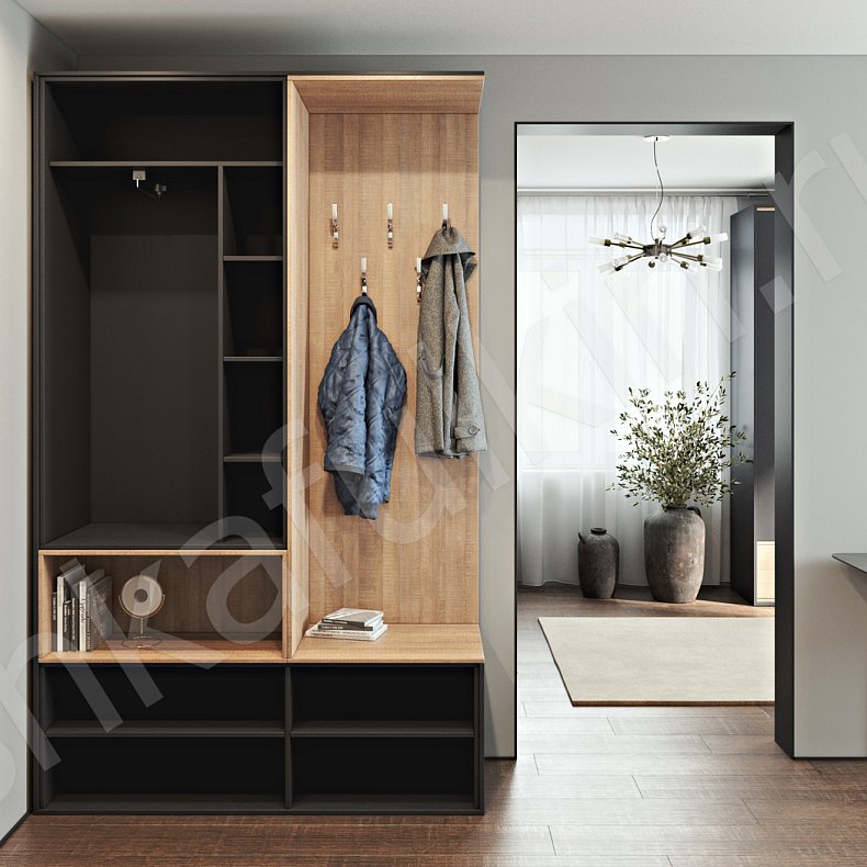 Изображение Прихожая Терри Темные Древесный Черный Минимализм 2х створчатые Прихожая Для вещей Для декора Для книг 2