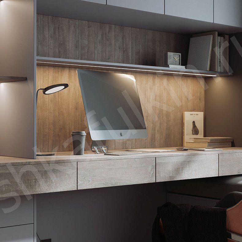 Кабинет Эйнштейн Серый Современный 3х створчатые Спальня Для книг 4