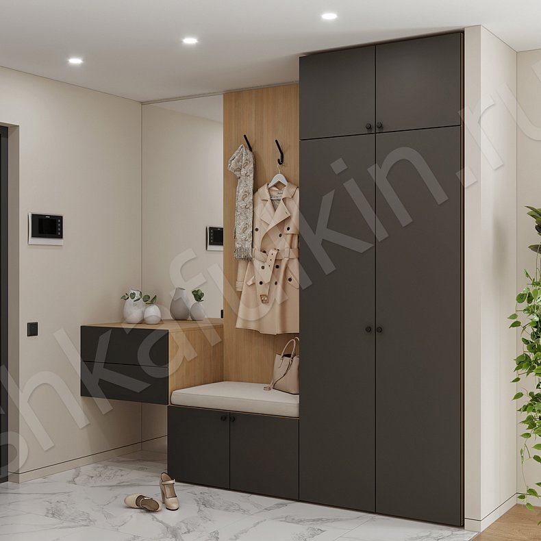 Изображение Прихожая Олли Черный Темные Скандинавский 2х створчатые Прихожая Для вещей 1