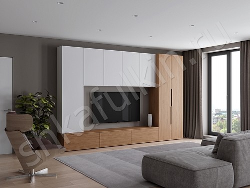 Изображение цвета Стенка Соло  Минимализм  Гостиная 