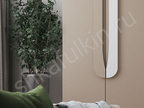 Изображение цвета Шкаф Тигго  Современный 4х створчатые Гостиная 