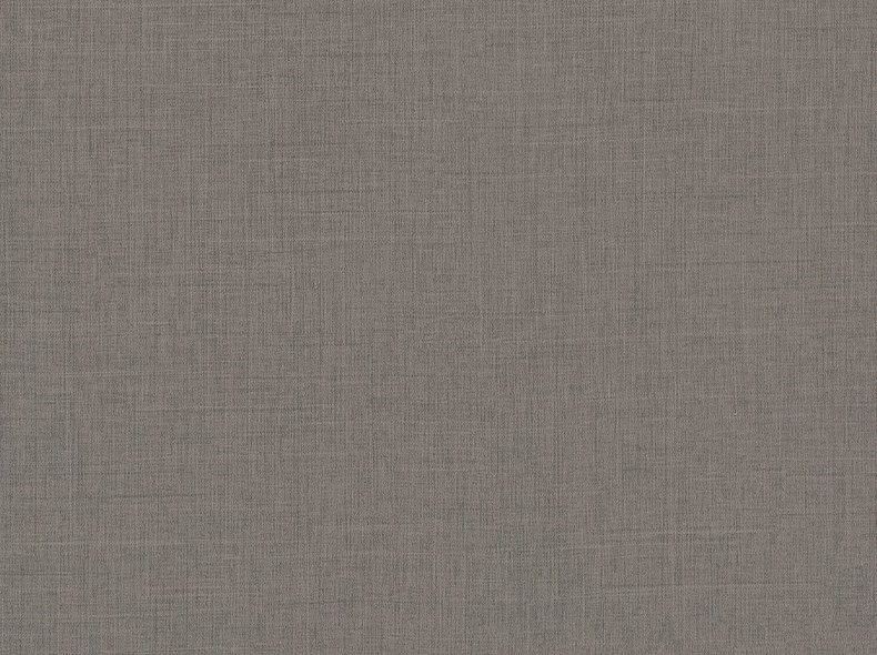 F433 ST10 Лен антрацит